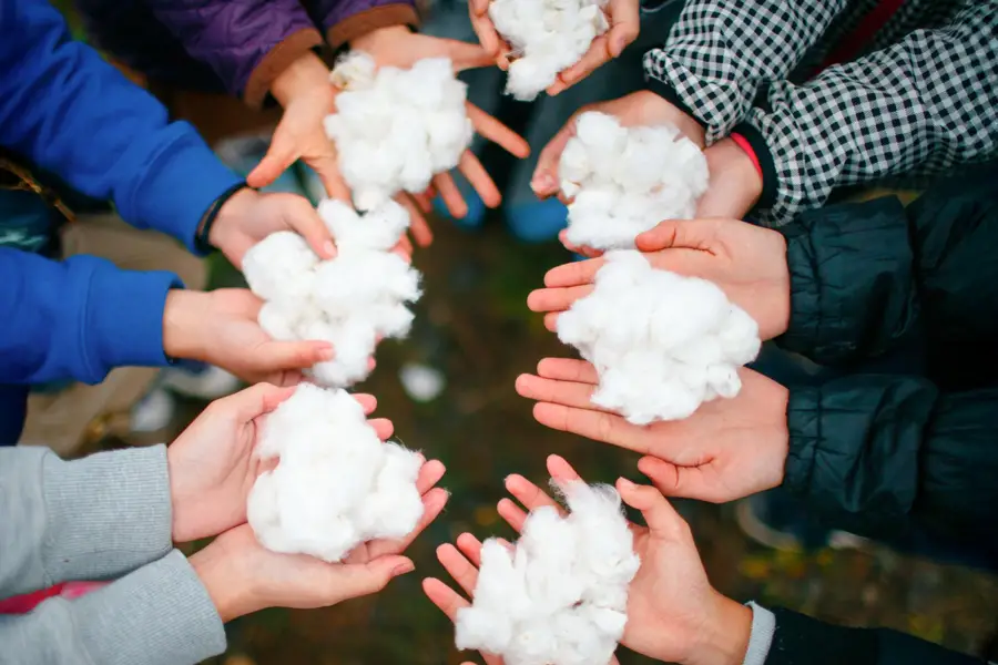 ̤��طҤ��ۤ�