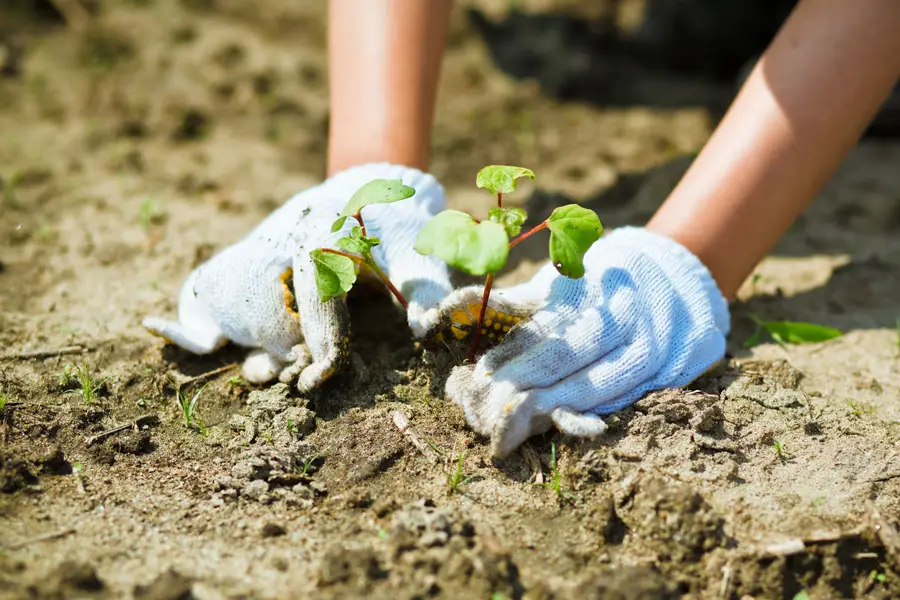 �����ʲ֤�